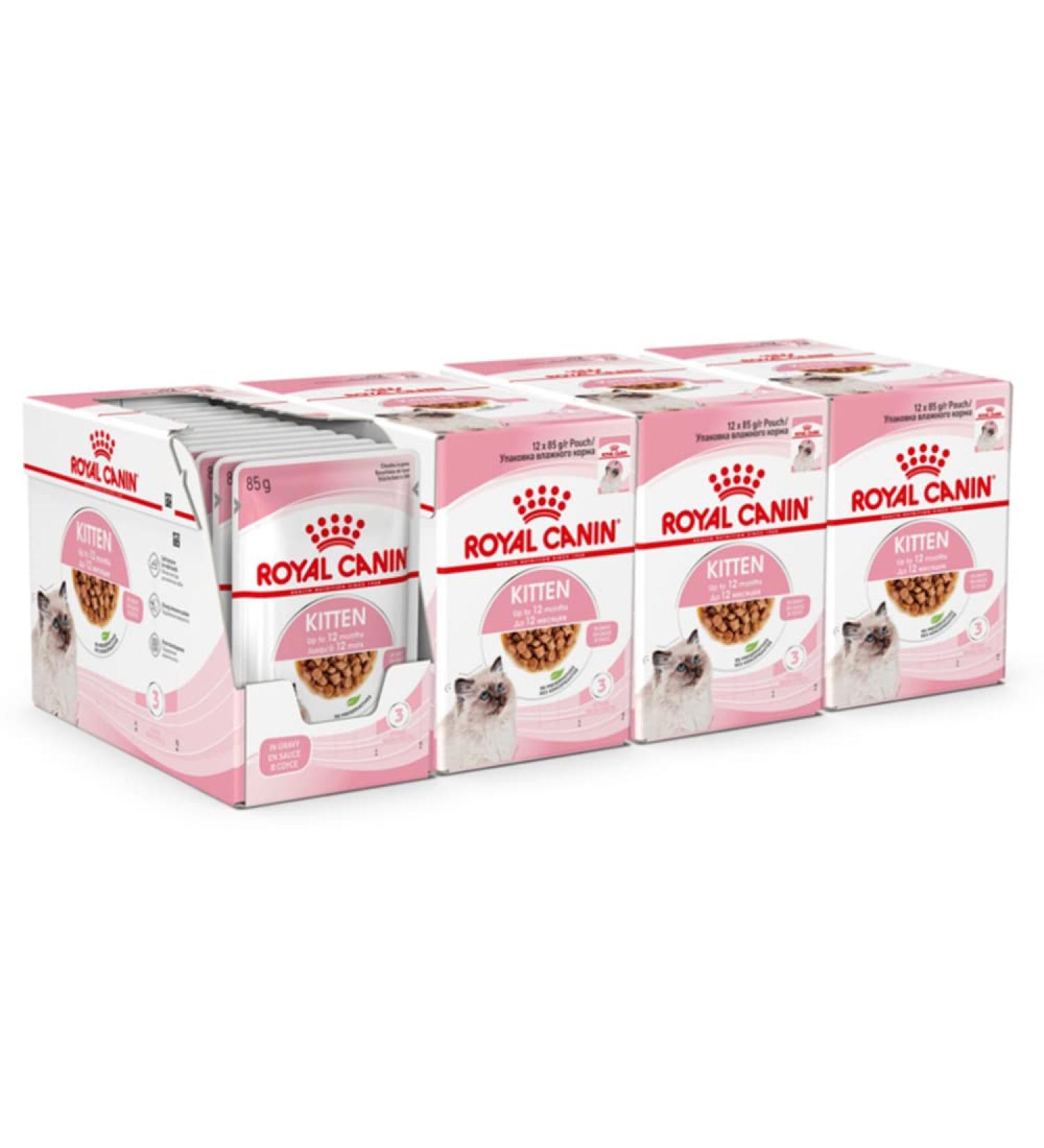ROYAL CANIN Kitten in Gravy Wet Food 85g (Pack of 48) * Multipack * Meat 48 count (Pack of 1) - Buy Online on GoSupps.com