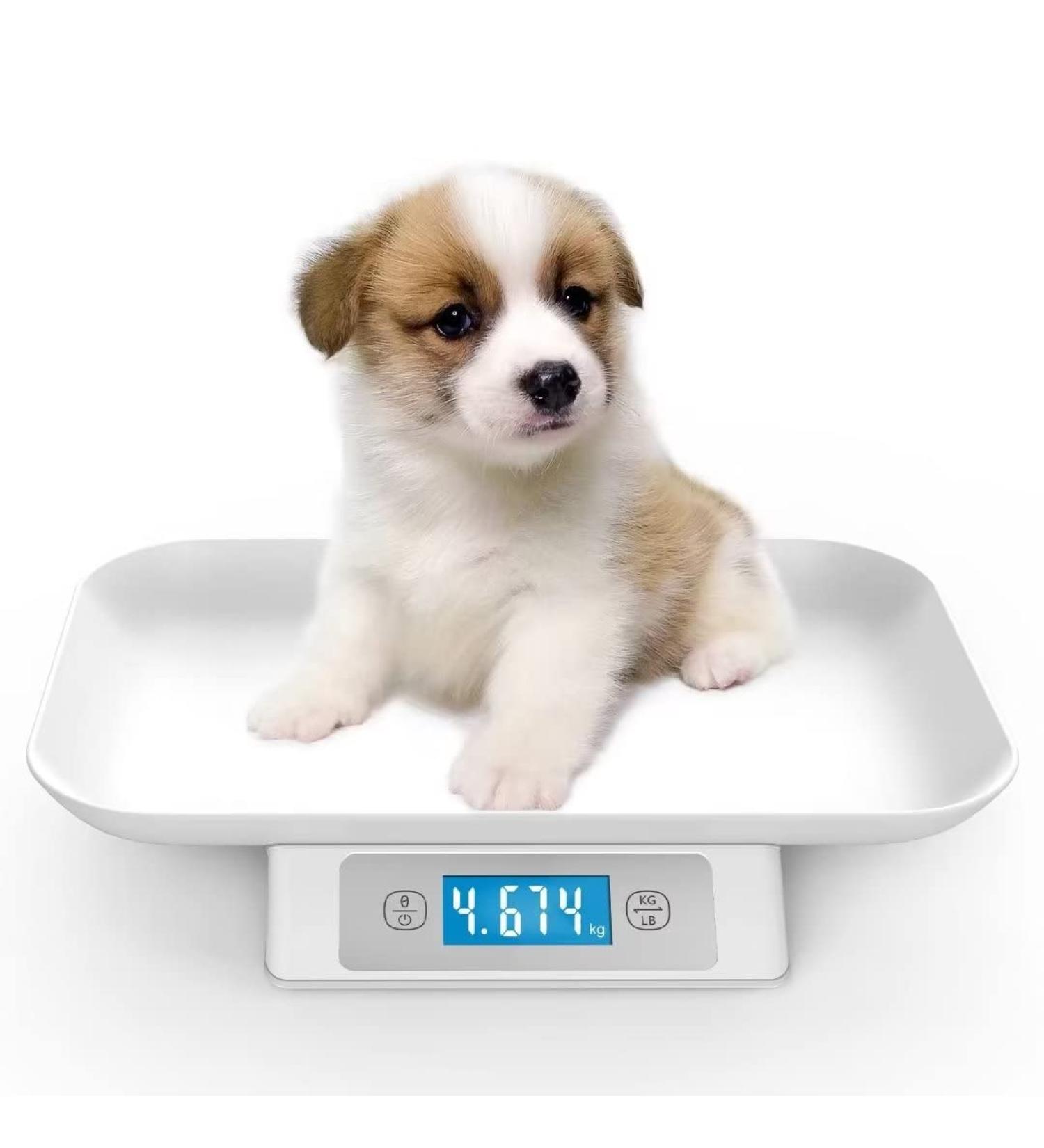 Digital Pet Scale for Small Animals - Mindpet-Med | Accurate 1g 15kg Capacity | Ideal for Kittens & Puppies (Gray) - Buy Online on GoSupps.com