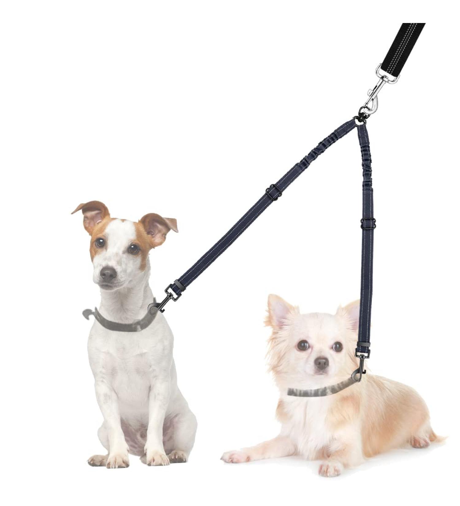 Slowton Adjustable Double Dog Leash for 2 Dogs 360 Rotatable Reflective No Splinters Perfect for Small Dogs (3-9 kg) Blue - Buy Online on GoSupps.com