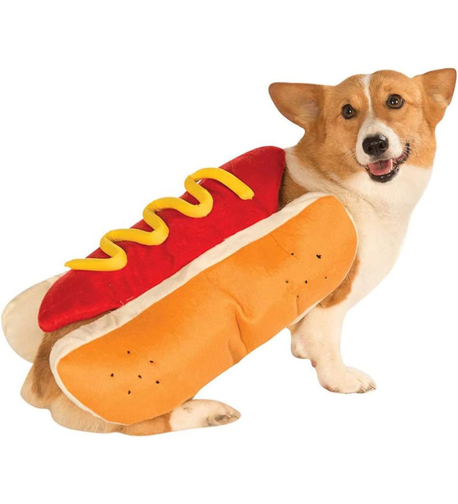 Shop Fun Hot Dog Halloween Costume for Dogs & Cats | Size S-M | Perfect for Christmas Parties - Yellow Outfit for Puppies Golden Retrievers Corgis & Mops - Buy Online on GoSupps.com