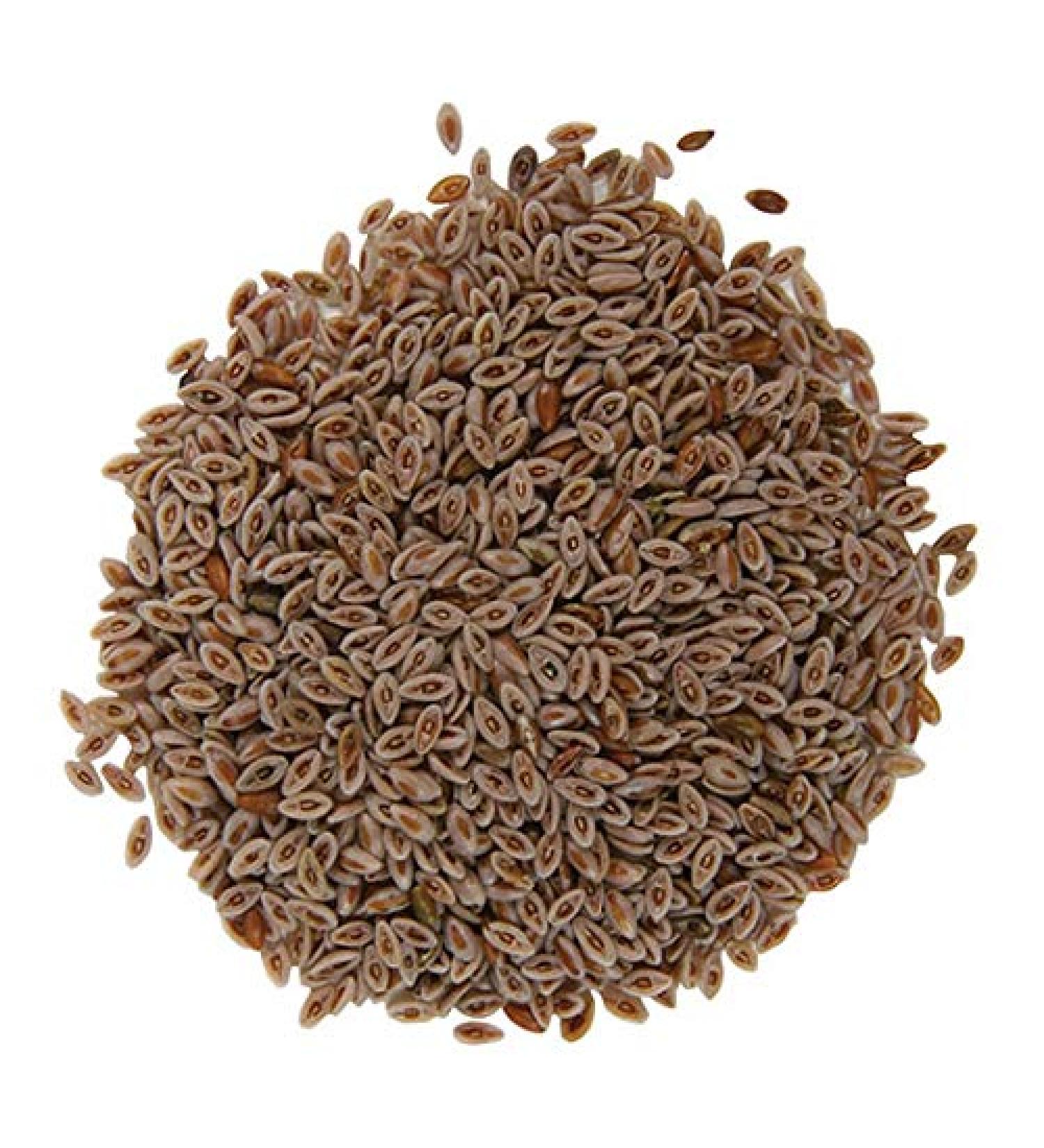 Frontier Co-op Organic Whole Psyllium Seed 1lb