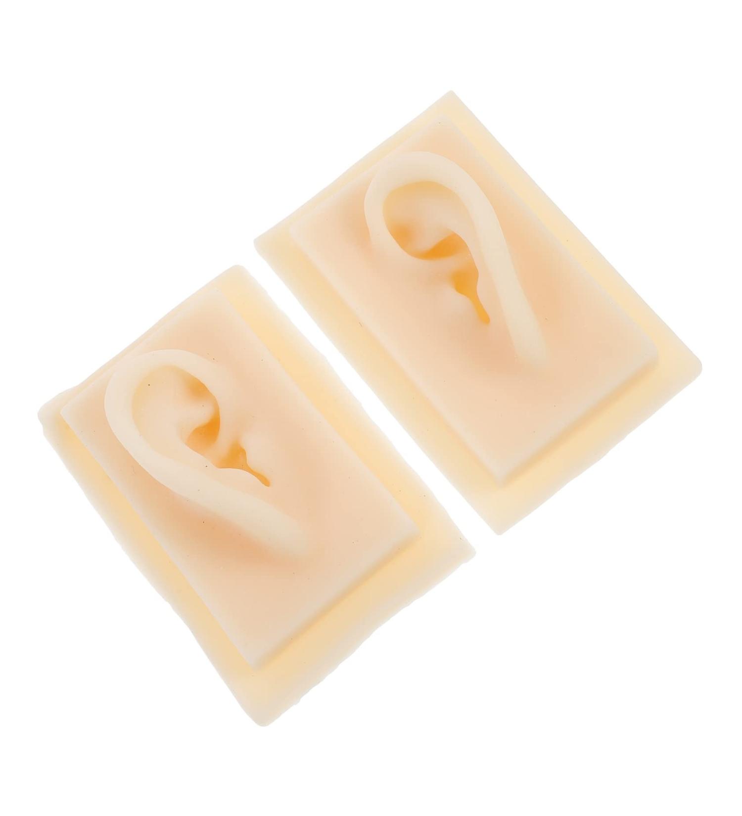 ULTECHNOVO 1 Pair Silicone Ear Models - Human Body Science Teaching Tools - Buy Online on GoSupps.com