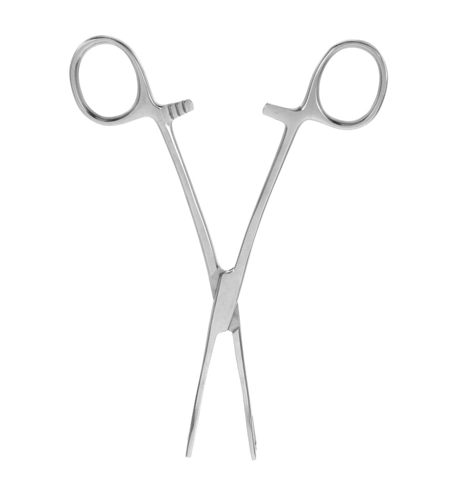 TOBBOMEY Reptile Feeding Clip Lizard Stuff Reptile Feeding Clamp Stainless Steel Silver - Buy Online on GoSupps.com
