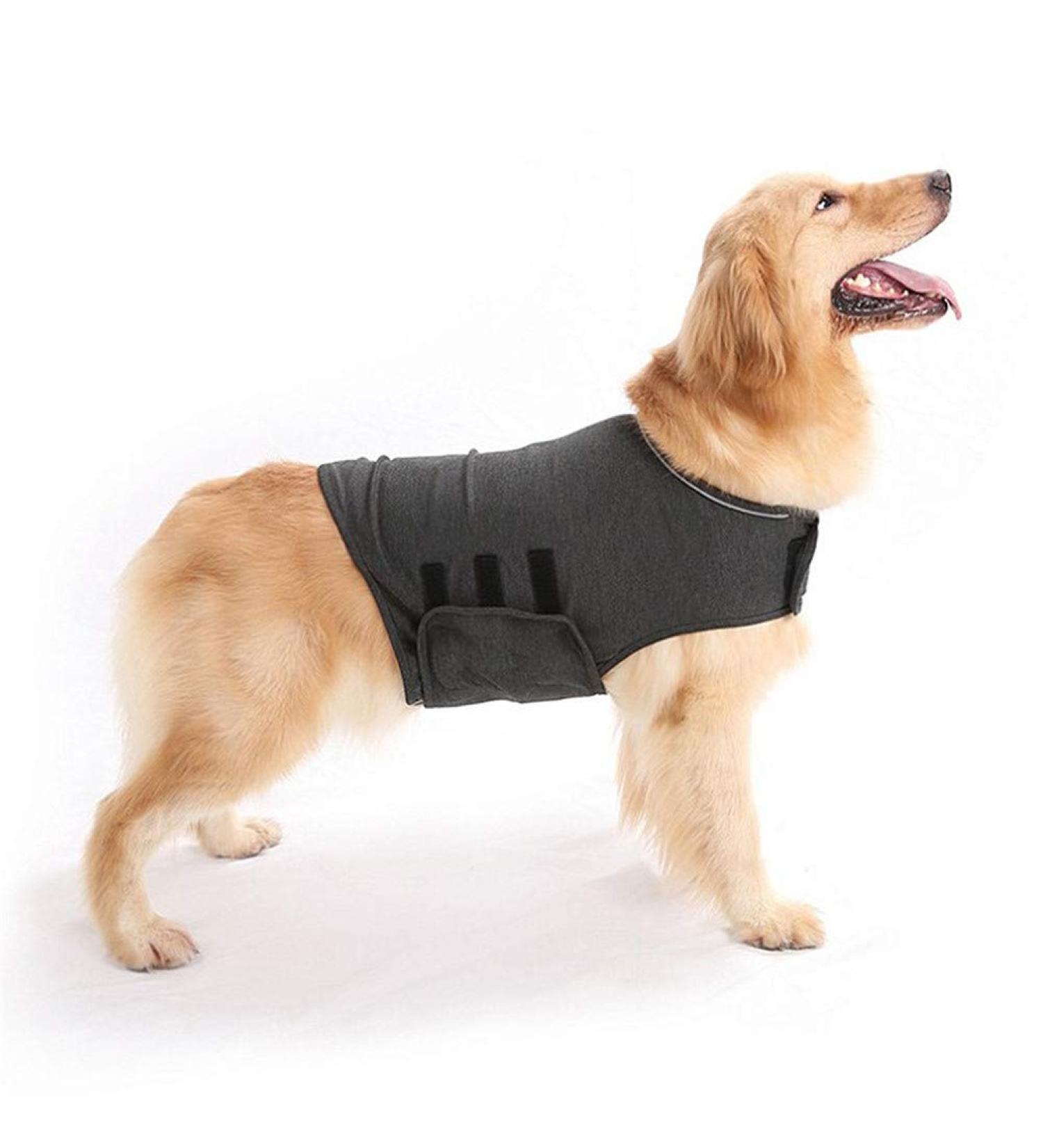 Beautyhe Anti-Stress Dog Coat Vest | Medical Recovery Shirt for Dogs | Calming Fear Jacket - Size 31 - Gray - Buy Online on GoSupps.com
