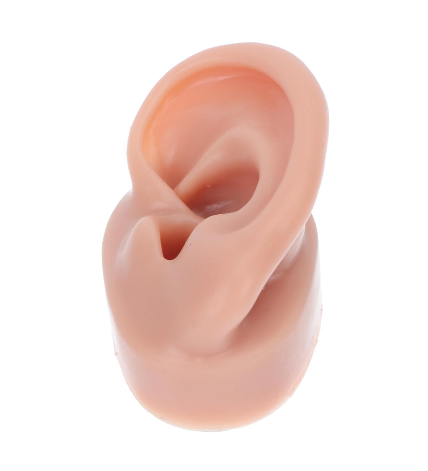 Healvian Human Ear Model Massage Kit Piercing Tools - Silicone Coffee Ear Mold 6.5x3.5cm - Buy Online on GoSupps.com