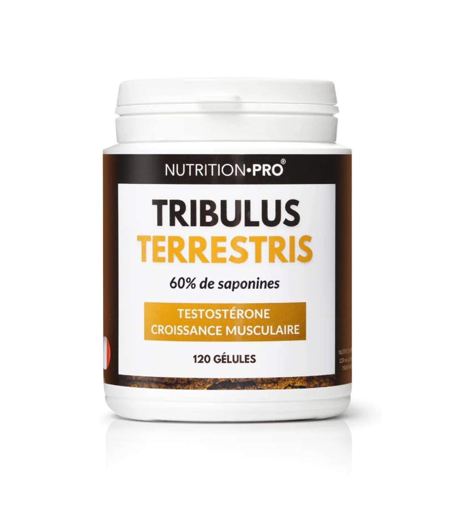 Tribulus Terrestris - 120 Capsules | High Dosed in Saponins (60%) | Muscle Growth | Bodybuilding | Made in France | Nutrition Pro - Buy Online on GoSupps.com