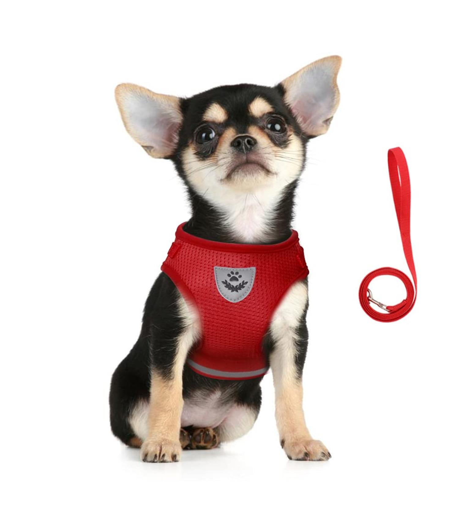Femax Reflective Dog Harness & Linen Set - Soft Mesh Padded for Puppies & Cats - Adjustable Breathable XL (Chest 47-52 cm) - Ideal for Walking Running & Training - Red - Buy Online on GoSupps.com
