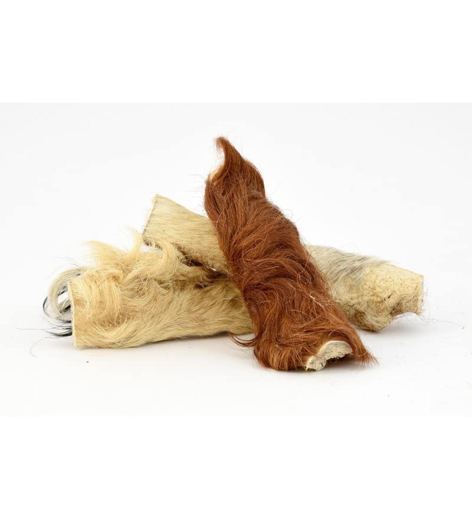 Premium Cattle Head with Fur for Dogs | 1000g | 100% Beef | Odor-Neutral Bag | Pridedogs | 20 cm | International Shipping - Buy Online on GoSupps.com