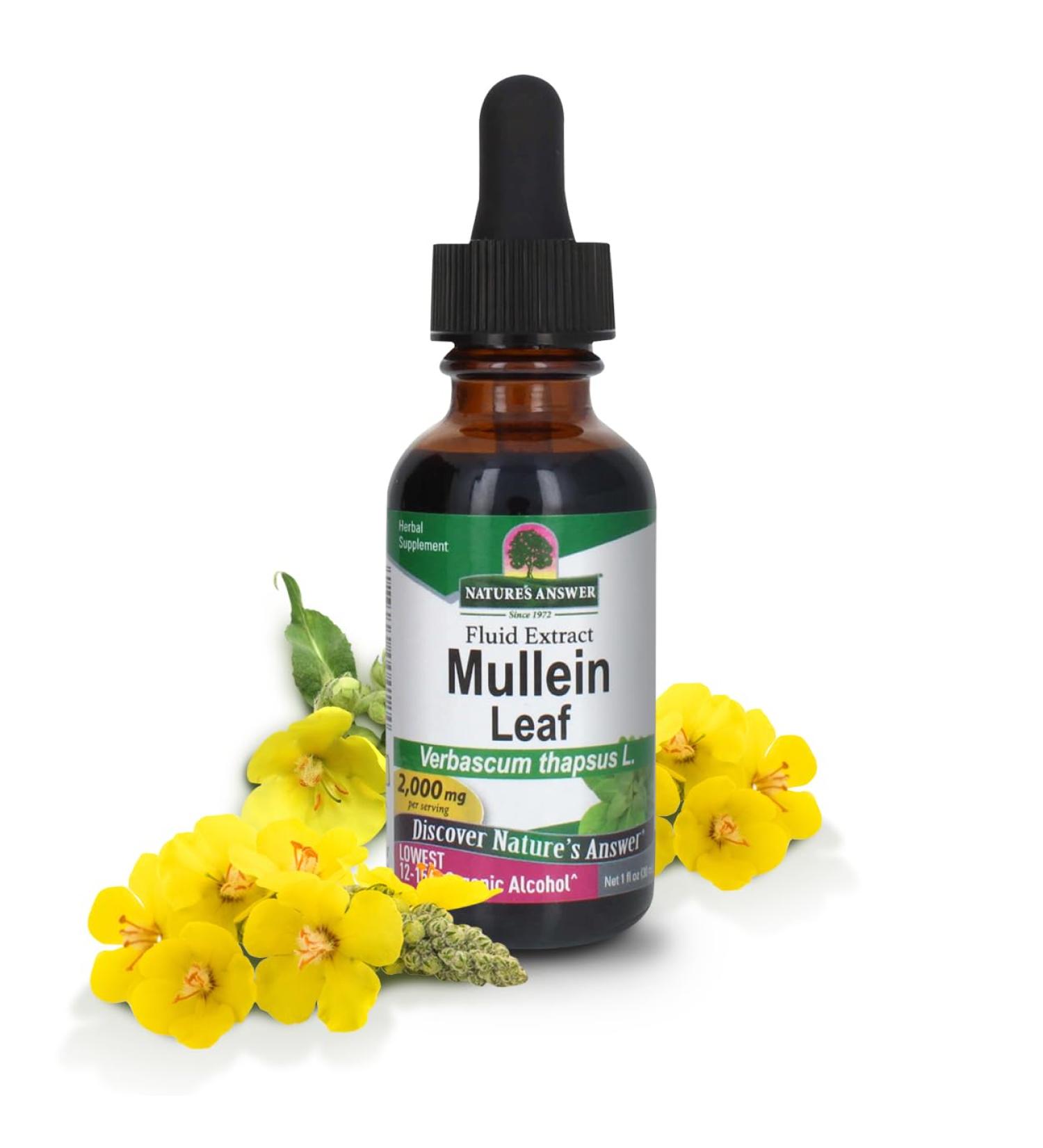 Nature's Answer Mullein Leaf with Organic Alcohol 1-Fluid Ounce - Buy Online on GoSupps.com