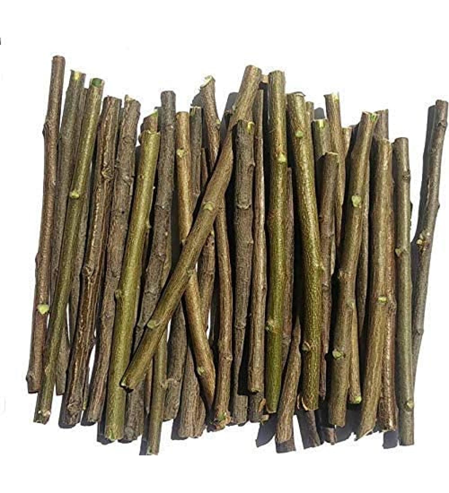 RNB Store 100 Pc Natural Neem Chew Sticks Datun Ayurvedic Organic Toothbrush for Brushing Teeth Remove Bad Breath & Gems Relieve Tooth Ache