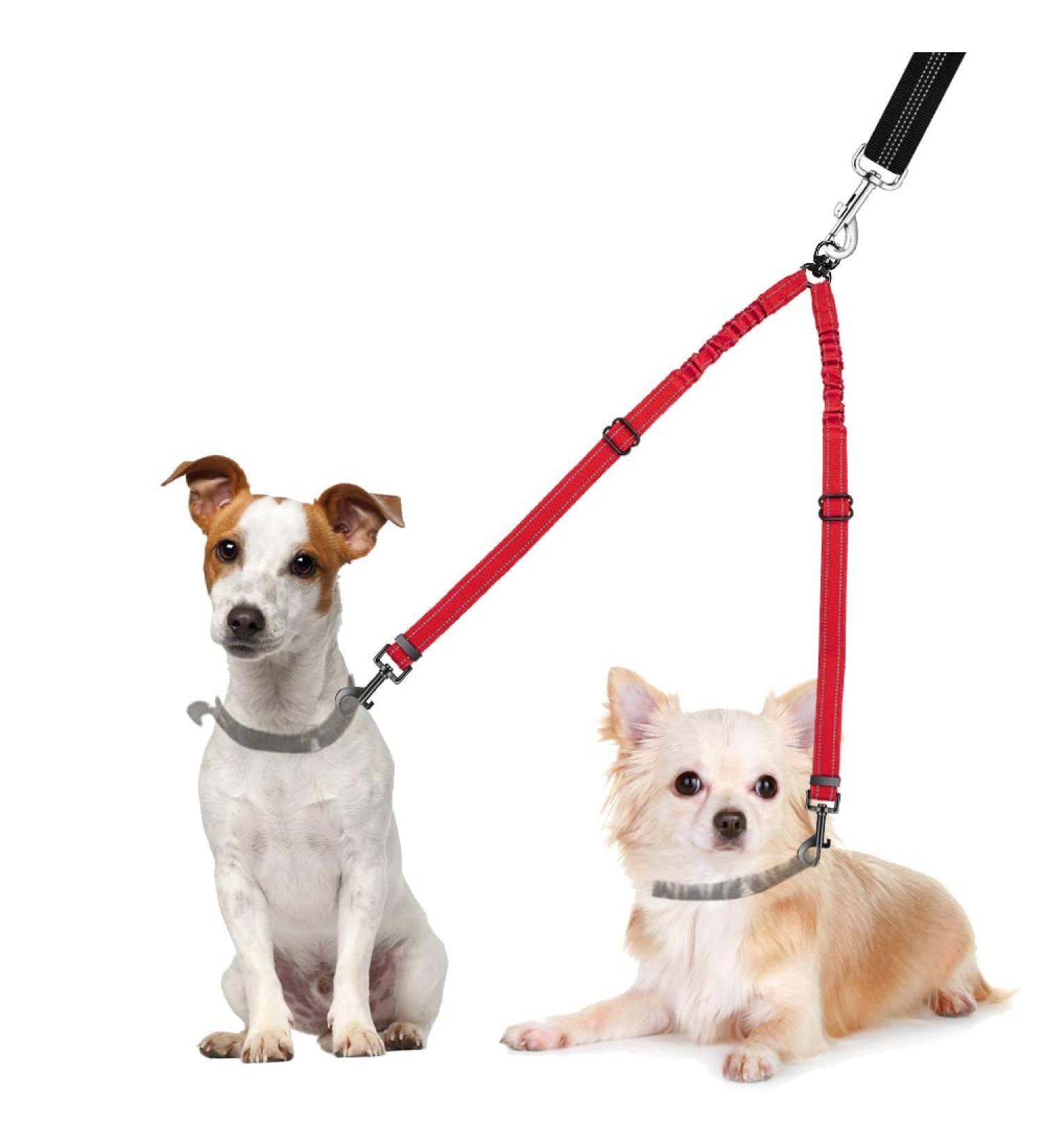 Nasjac Double Dog Leash - No-Tangle 360 Rotatable Bungee Leash for Small Medium & Large Dogs | Adjustable Shock-Damping & Reflective | Perfect for Running & Training - Buy Online on GoSupps.com