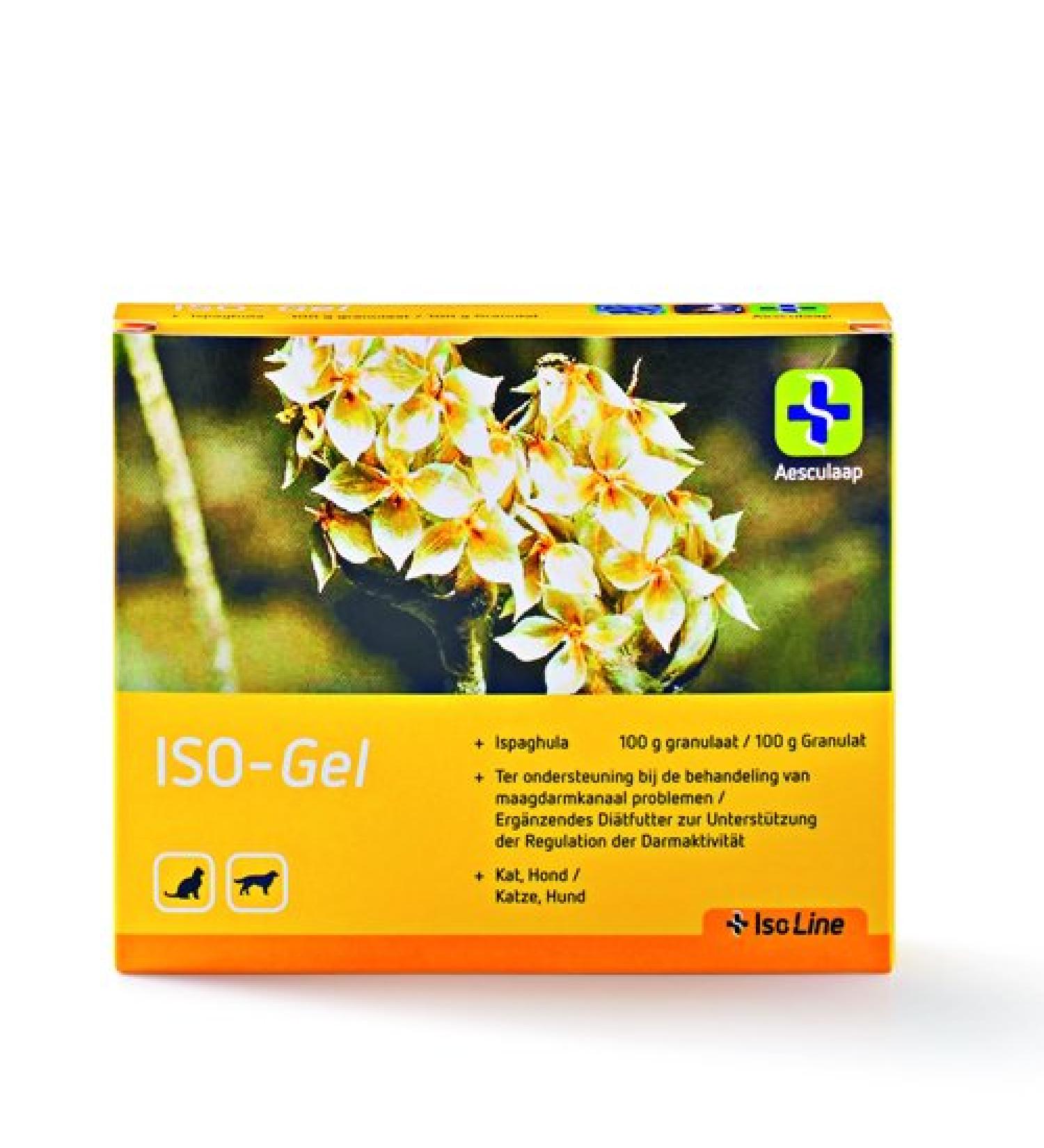 Isogel 100 g Powder Supplement Powder Form Dietary Fiber for Digestive Support