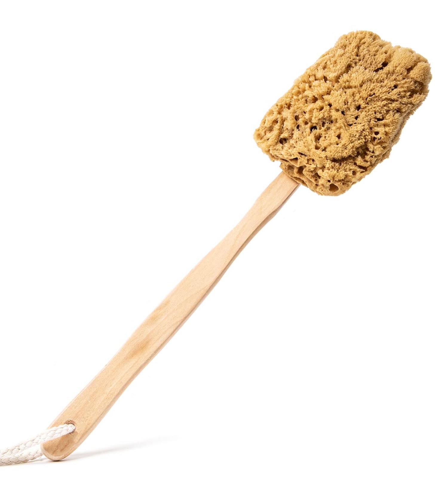 Naroa Natural Back Sponge Scrubber | Long Handle Exfoliating Shower Brush for Improved Skin Health | Detachable Head for Back Acne Relief | Ideal for Men and Women - Buy Online on GoSupps.com