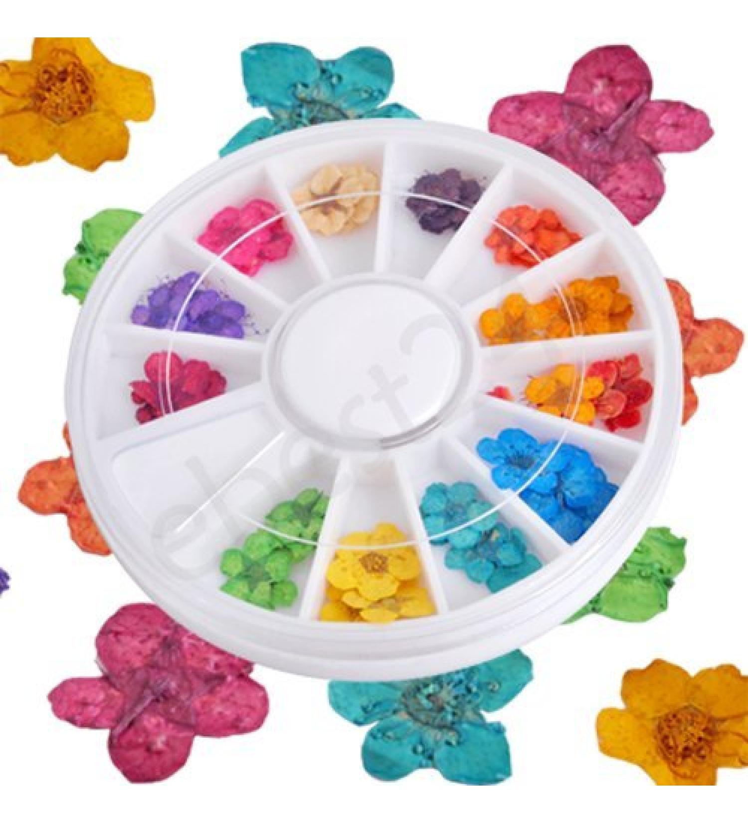 Nail Art Dried Artificial Flowers | 12 Vibrant Colors for Stunning Nail Designs - Shop Internationally - Buy Online on GoSupps.com