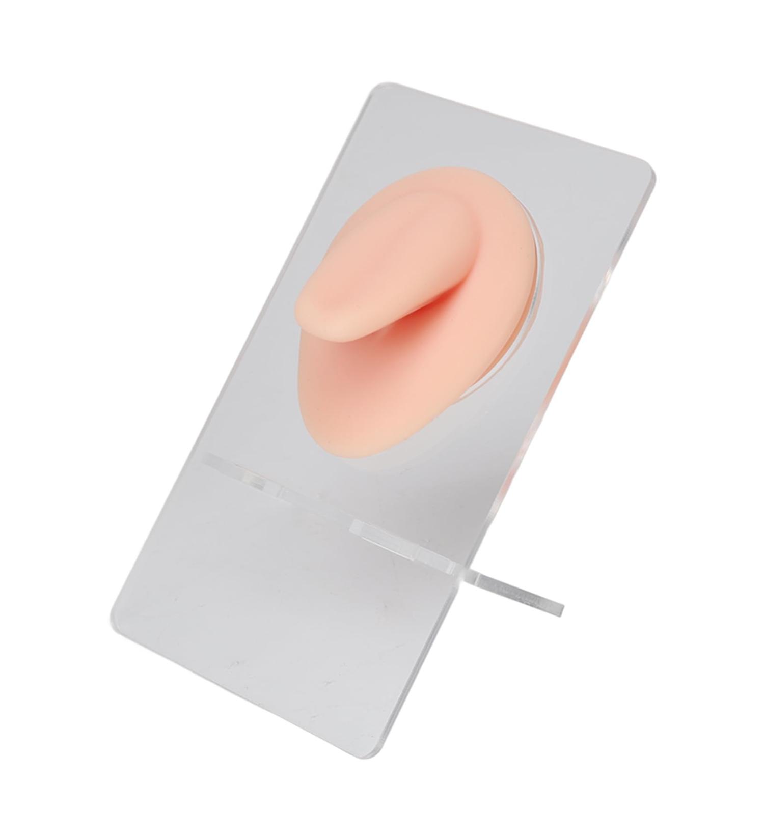 Professional 3D Tongue Model for Piercing Exercises | Silicone Reusable Easy to Clean | International Shipping Available - Buy Online on GoSupps.com