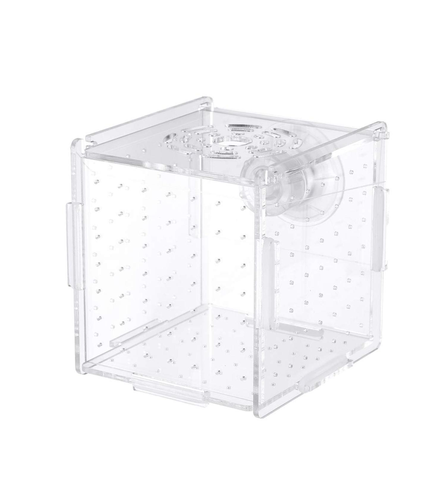POPETPOP Fish Breeding Box - Isolation Hatchery for Small Baby Fish & Shrimp - Suction Cup Size 1 - Buy Online on GoSupps.com