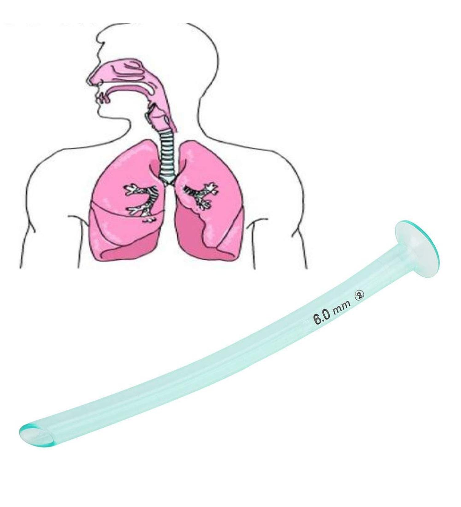 Disposable Nasal Pharyngeal Duct Nasopharyngeal Airway - 6.00 mm | Health Care Tool Accessory - Buy Online on GoSupps.com