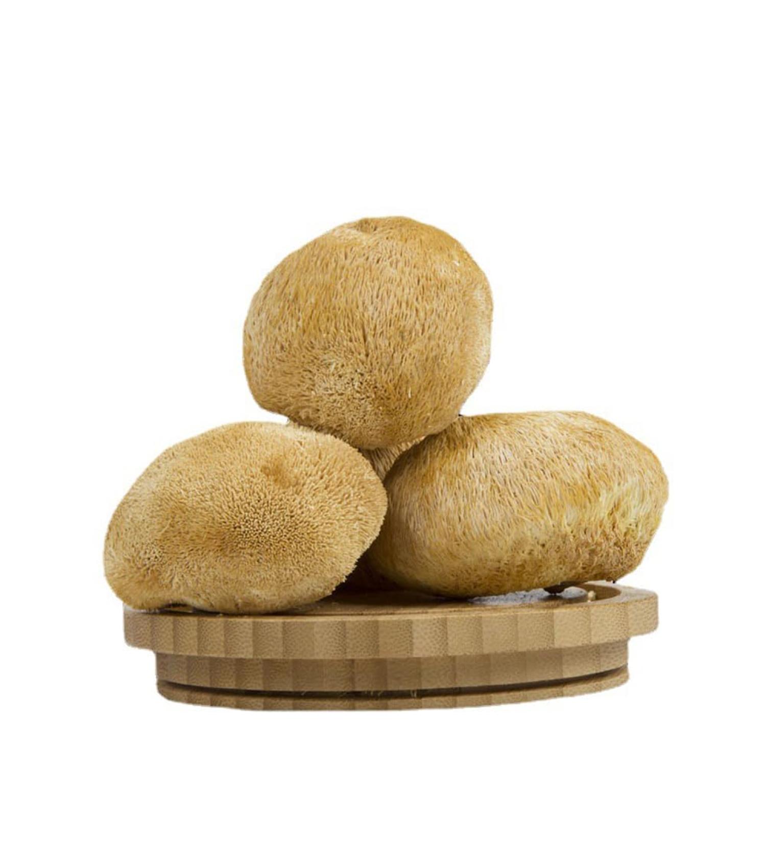 Hericium Erinaceus Lions Mane Mushroom HOU TOU Gu (250g(0.55pounds)) - Buy Online on GoSupps.com
