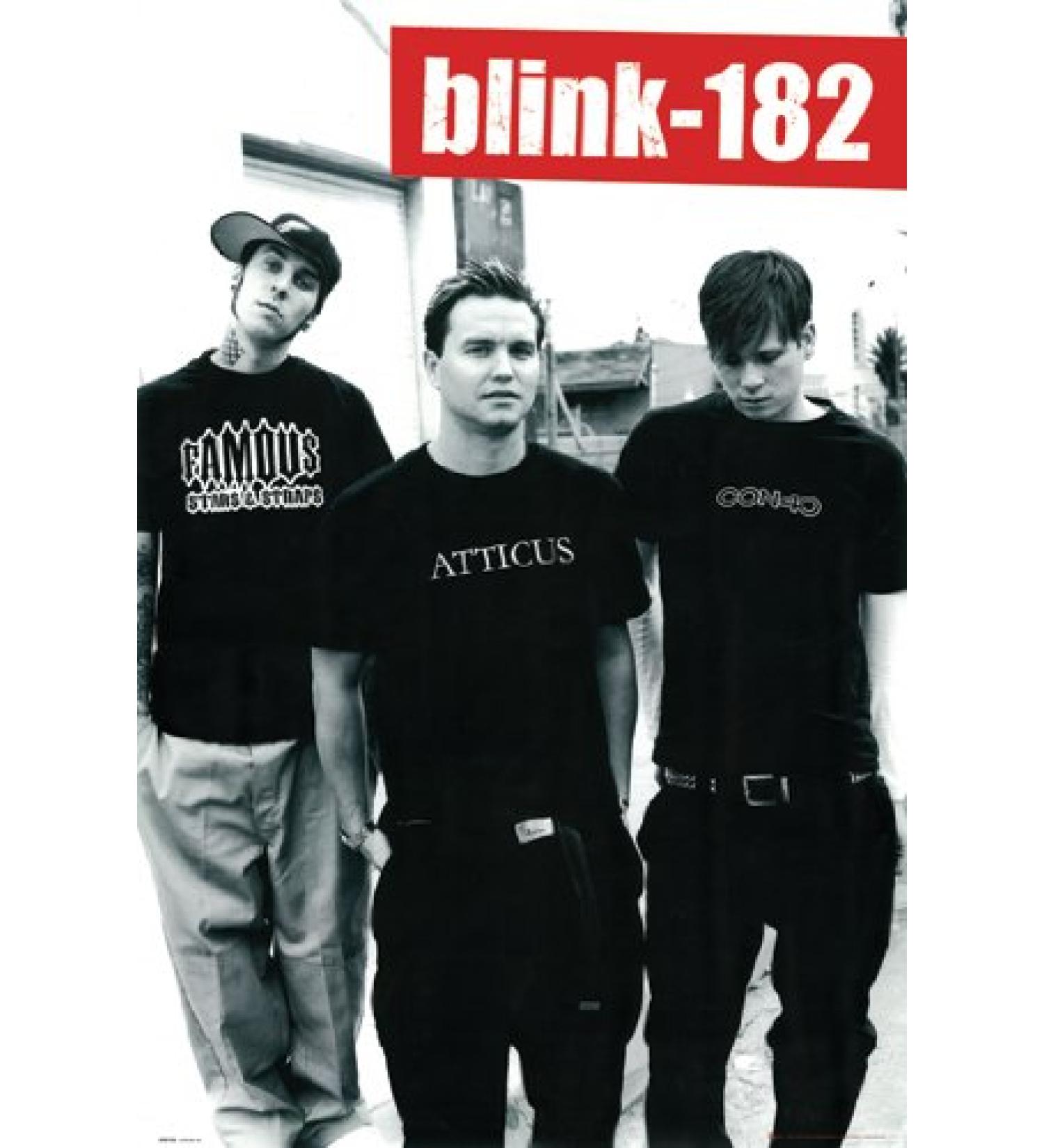 Hot Stuff Enterprise Z48-24x36-NA Blink 182 Poster44 24 x 36