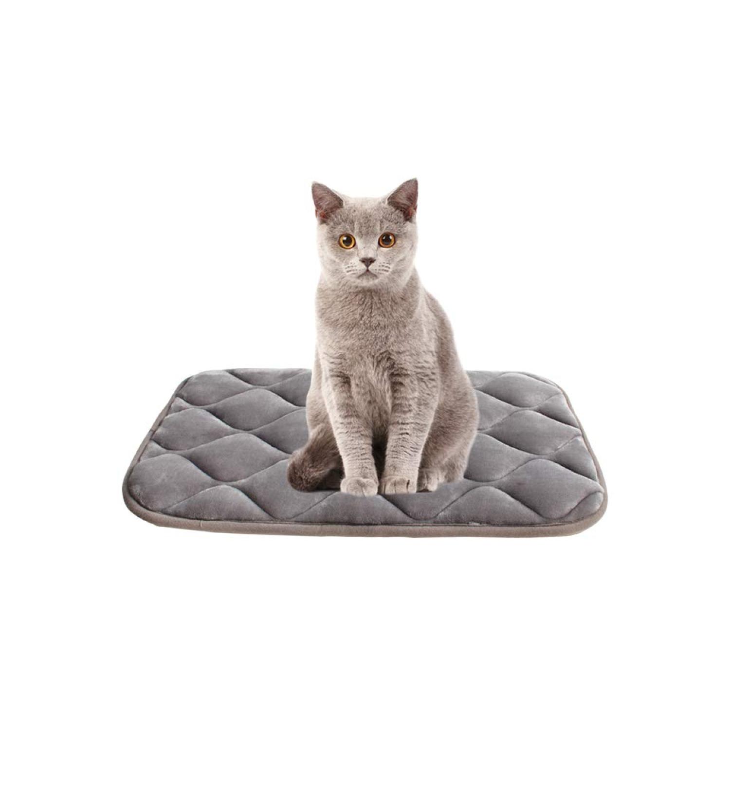 Furrybaby 22 Inch Dog Bed Mat - Soft, Machine Washable Pet Mattress in Sliver Grey - Anti-Slip Bottom for Dog Sleeping - Buy Online on GoSupps.com