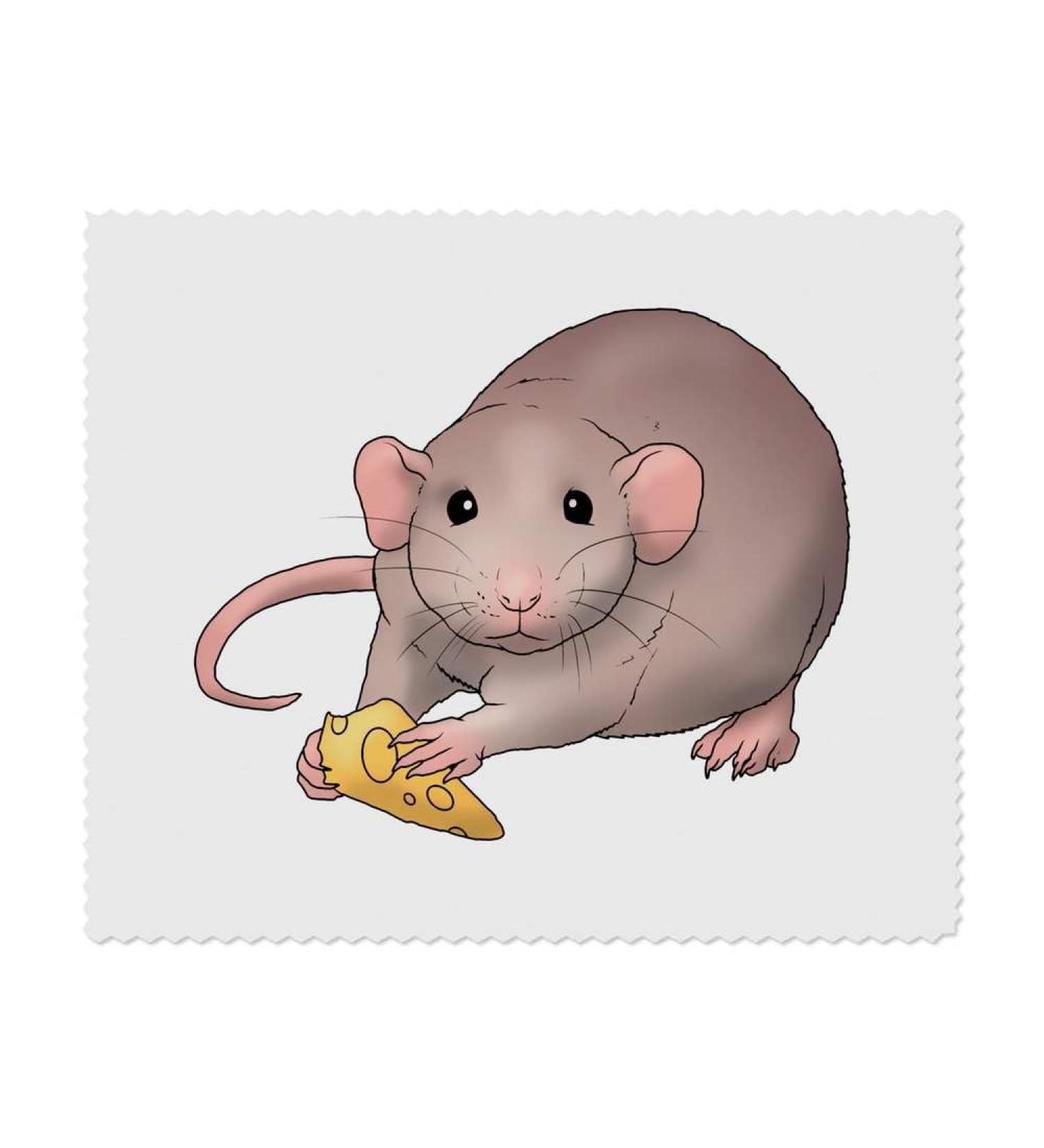 2 x Microfiber Lens Cleaning Cloths - Rat Eating Cheese Design | Ideal for Glasses & Screens - Buy Online on GoSupps.com