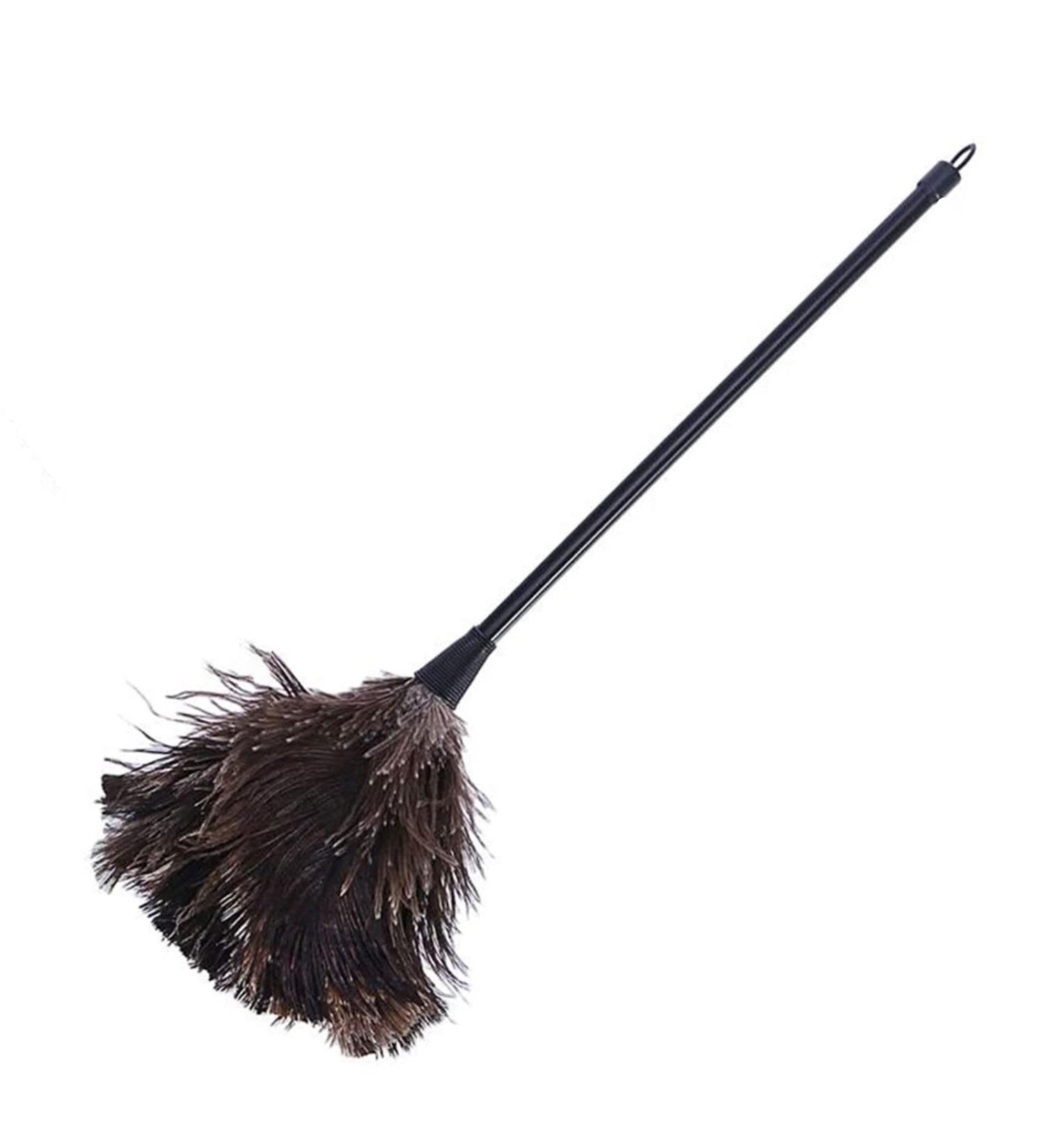 W-LOVNEST Ostrich Duster Cleaning Brush with Long Handle Computer Dust Removal for Home Bedroom Dormitory Keyboard for Cleaner Brush Tool - Buy Online on GoSupps.com