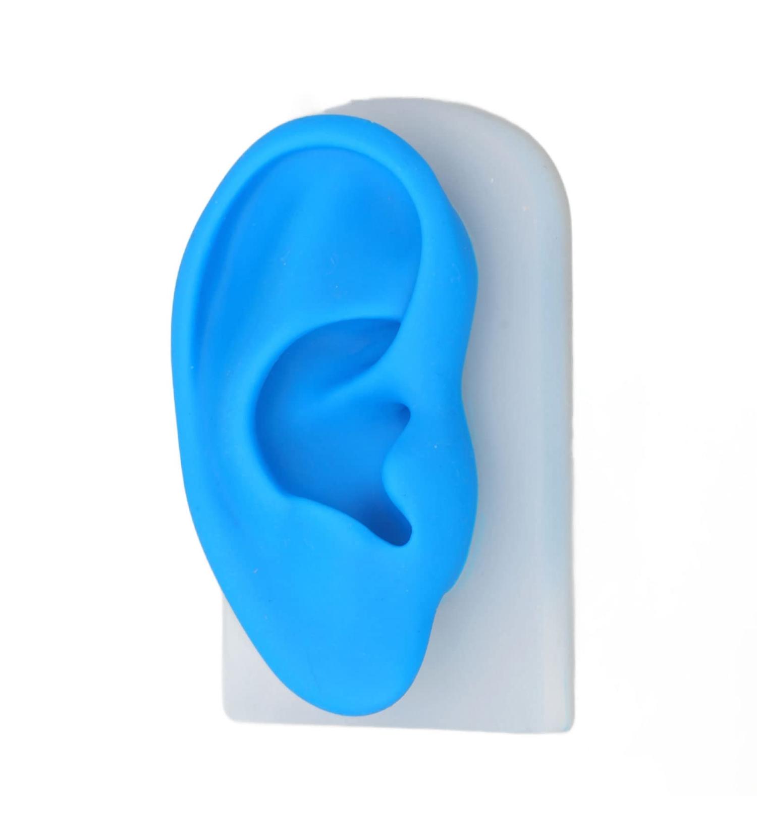Silicone Ear Model - Realistic Design for Lessons Seam Practice & Acupuncture Therapy | Portable Listening Amplifier - Buy Online on GoSupps.com