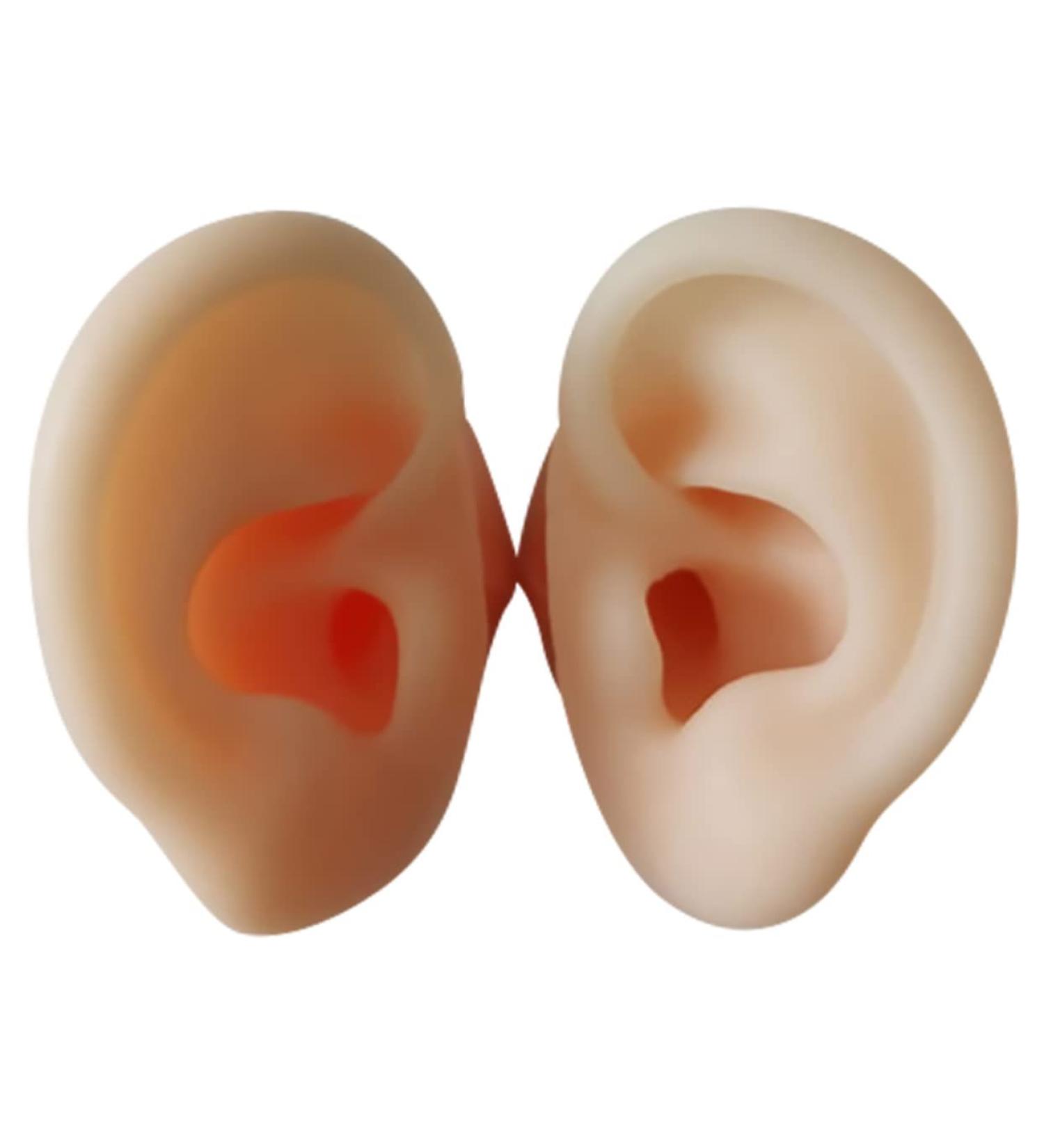 STOBOK 1 Pair Ear Picking Model Silicone Tunnels for Ears Ear Anatomy Model Anatomy Ear Model Fake Ear Artificial Display Ear Model Simulation Ear Mold Auditory Meatus Model Silica Gel - Buy Online on GoSupps.com