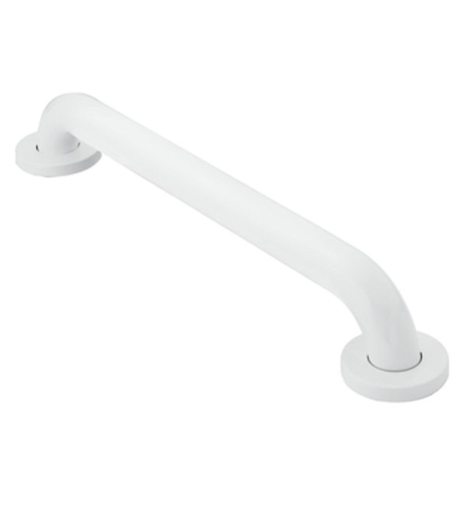 Moen R8716W Home Care 16-Inch Concealed Screw Bath Safety Bathroom Grab Bar  Glacier - Buy Online on GoSupps.com