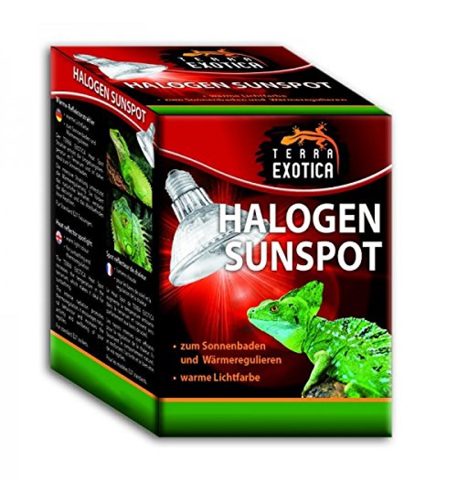 Terra Exotica Halogen Sunspot 50 Watt - Halogen Sun Spot Spotlight Heater