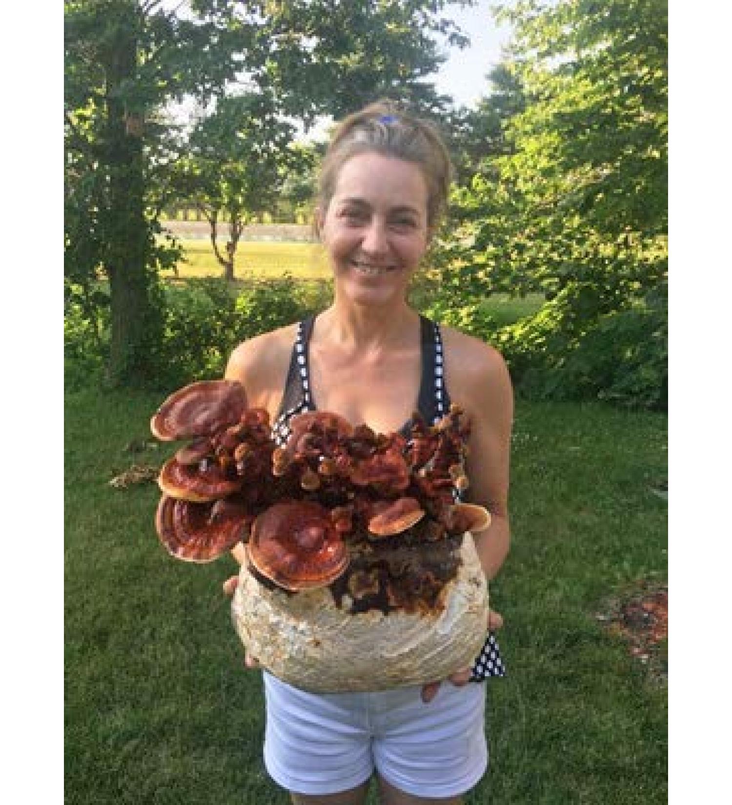 Mushroom Man LLC Reishi Mushroom Kit - Indoor Growing Kit - Buy Online on GoSupps.com