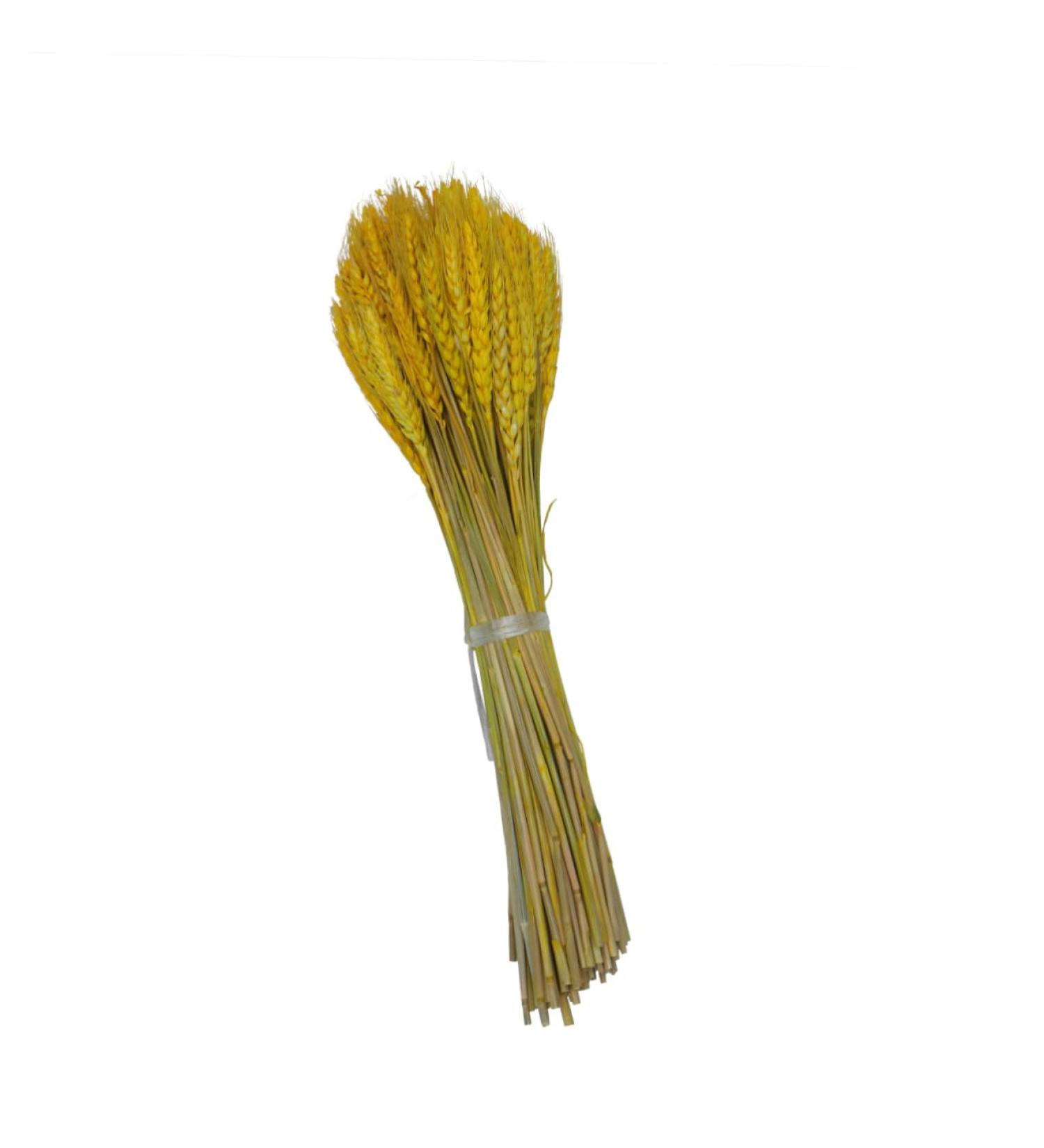MAGICLULU 1 Decor Natural Wheat Rural Wheat Dried Wheat Simulation Wheat Dried Flowers Bouquet - Buy Online on GoSupps.com