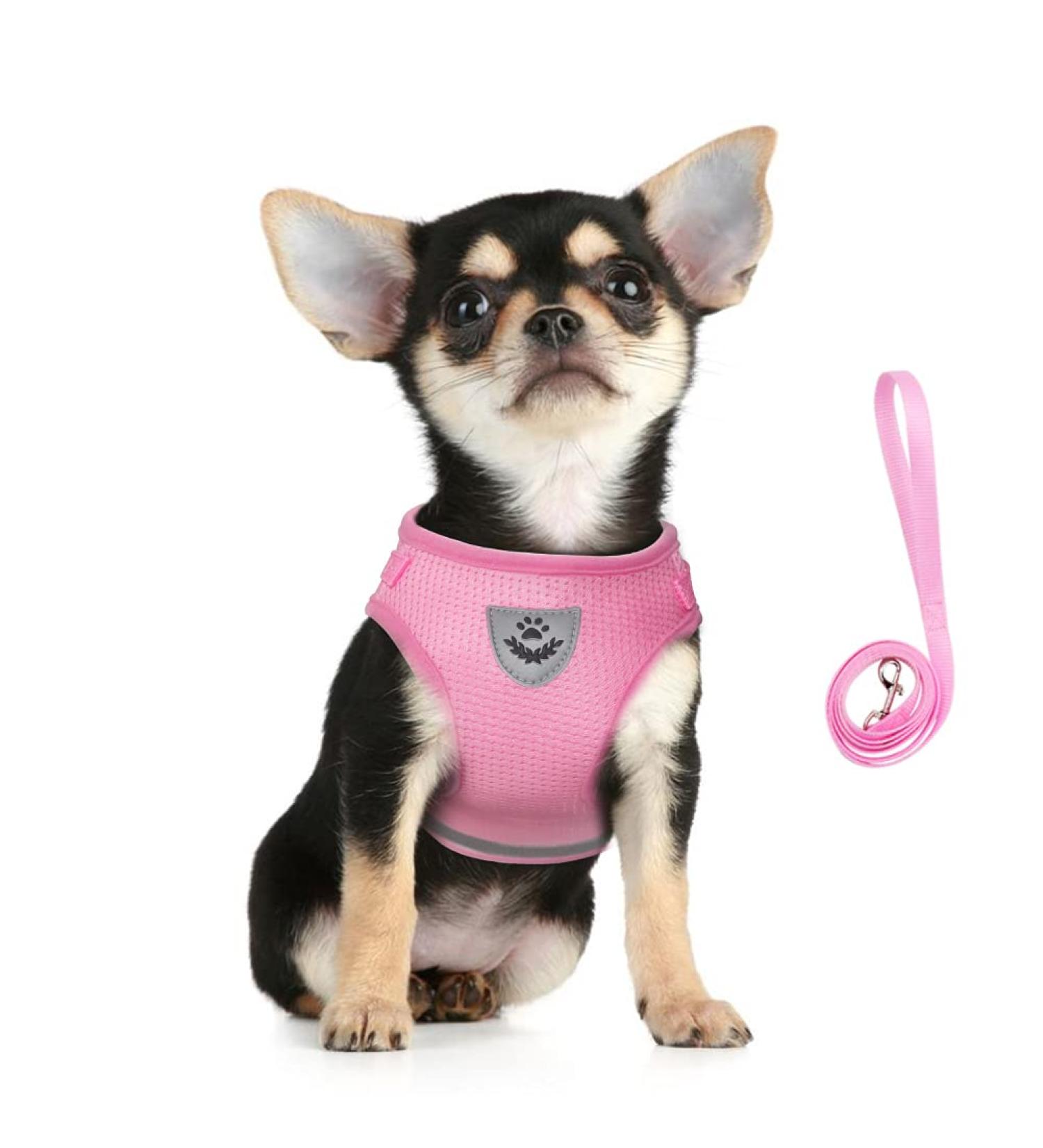 Femax Dog Harness & Linen Set - Soft Mesh Padded Reflective Adjustable for Walking & Training - XL (Chest 47-52 cm) - Pink - Perfect for Dogs & Cats - Buy Online on GoSupps.com