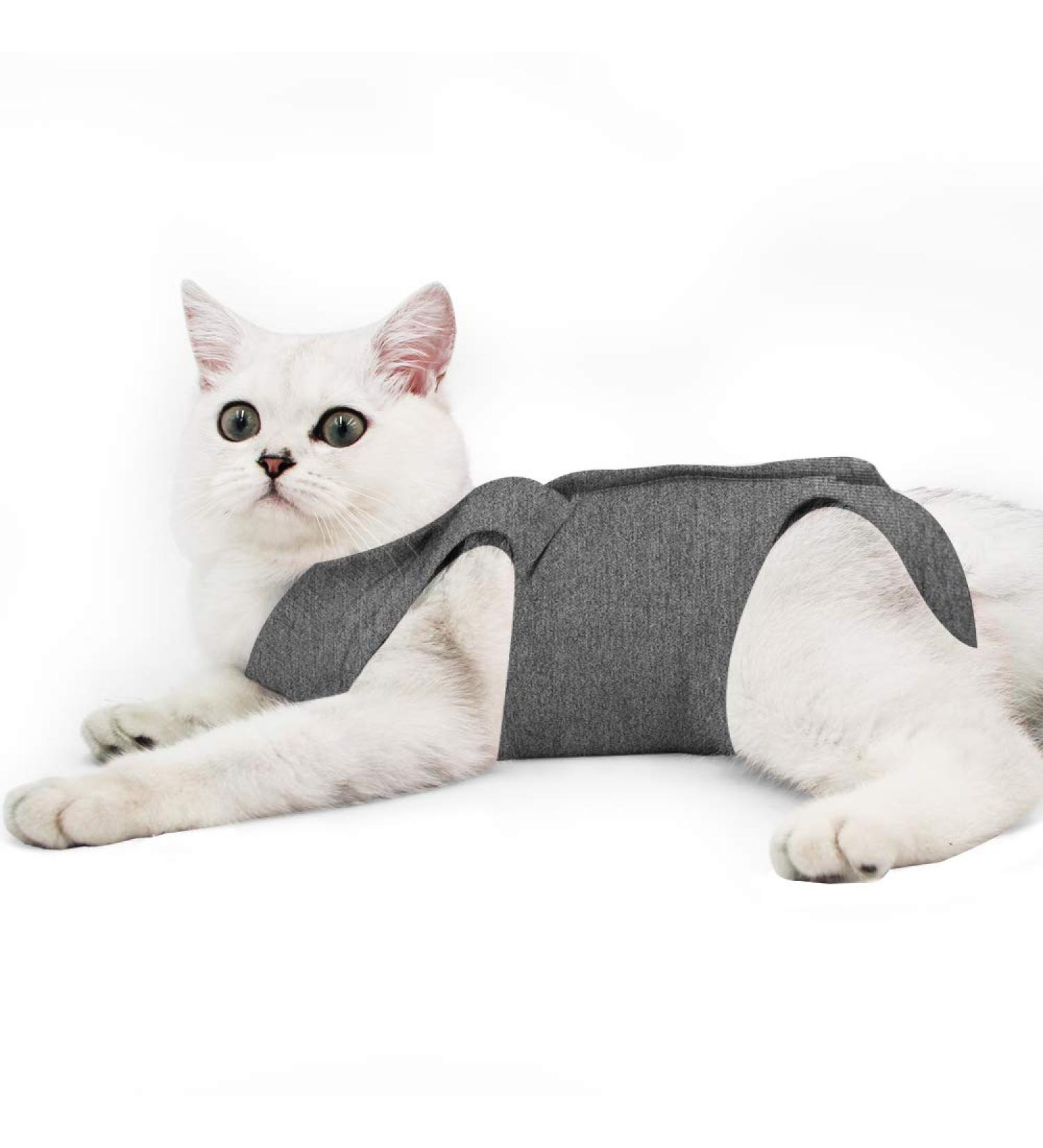 HEYWEAN Cat Abdominal Wound Recovery Collar | Skin Disease Protection & E-Collar Alternative | Prevent Licking & Scratching | Large Dark Grey - Buy Online on GoSupps.com