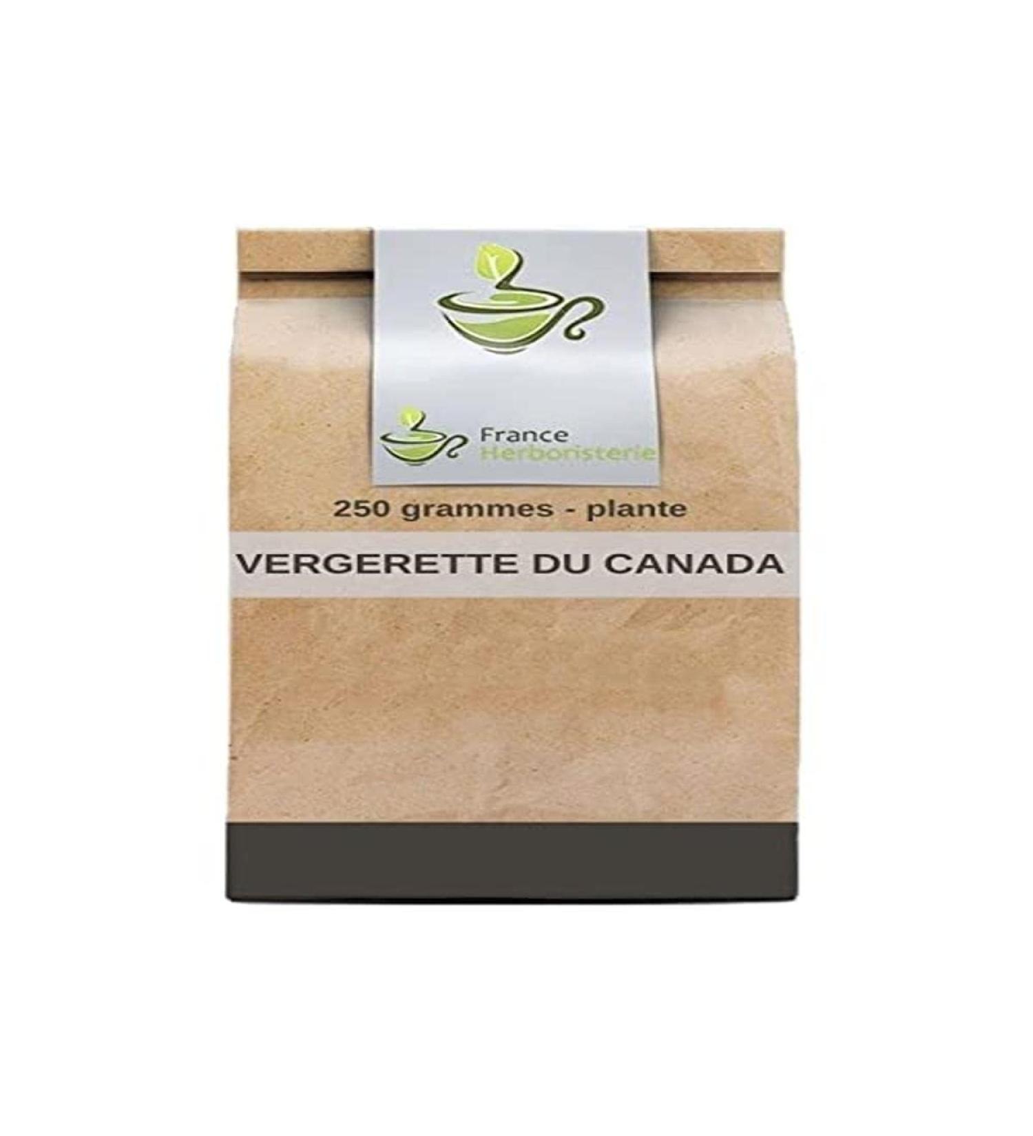 Canadian Flea Herbal Tea (Erigeron) plant CT 250 GRS Erigeron Canad