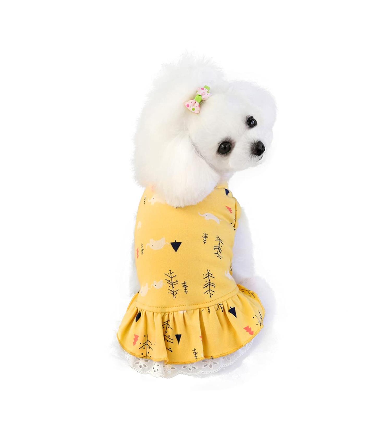 Shop Barrageon Dogs Kneid Princess Rock Clothing for Medium Pets - Summer Bowknot Outfit in Yellow (30 cm Back Length) - Buy Online on GoSupps.com