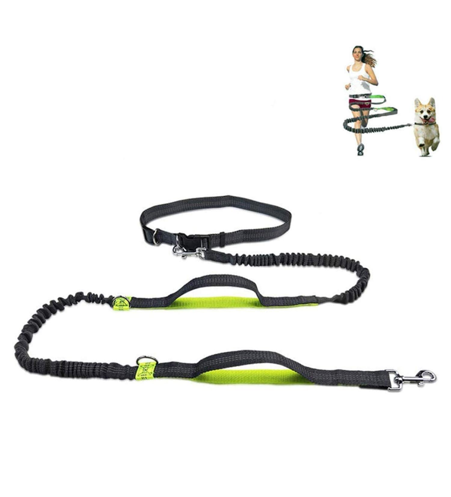 Pecco Hand Free Dog Lead Dog Walking Belt Ajustable Dog Leash Waist Belt Pet Dog Leash Coupler Running and Jogging Lead Belt with Retractable Bungee - Buy Online on GoSupps.com