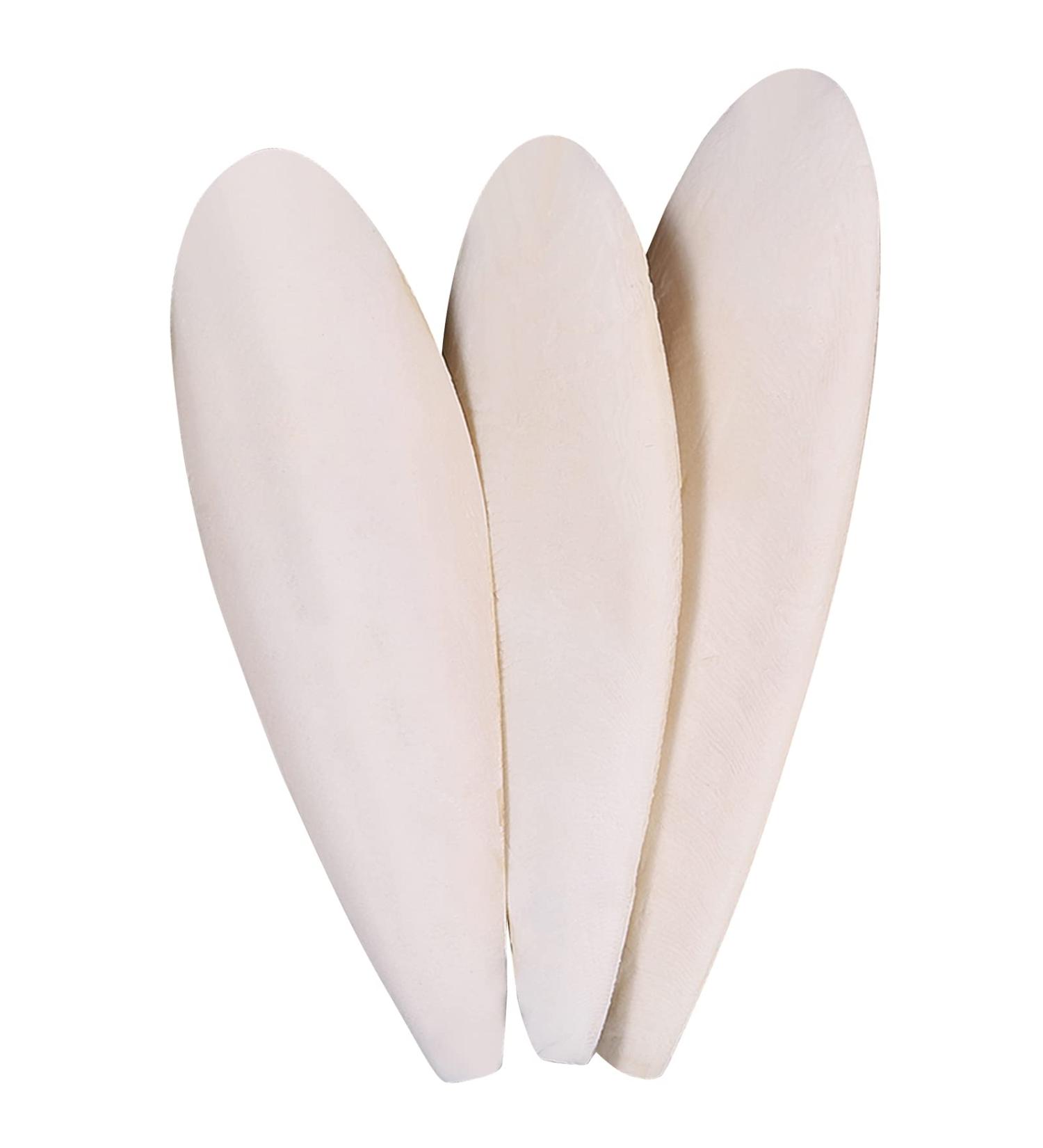 Rosavida 3 Piece Cuttlebone for Cockatiels, Birds, Reptiles, Turtles, Snails - Natural Polished Cuttlebone for Optimal Calcium & Mineral Supply - 5.5-6.5 Inch - Buy Online on GoSupps.com
