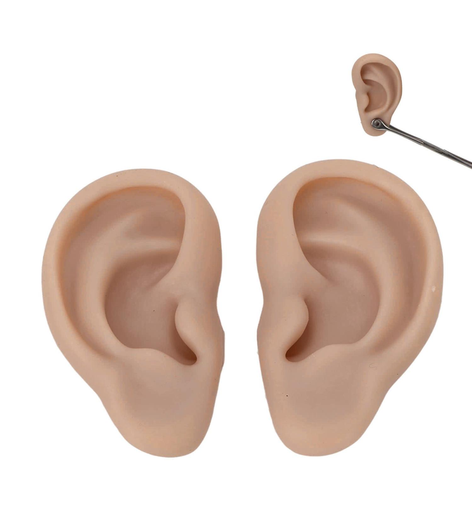 Silicone Flexible Ear Model - Dark Skin Color | Soft & Realistic Human Ear Replica - Buy Online on GoSupps.com