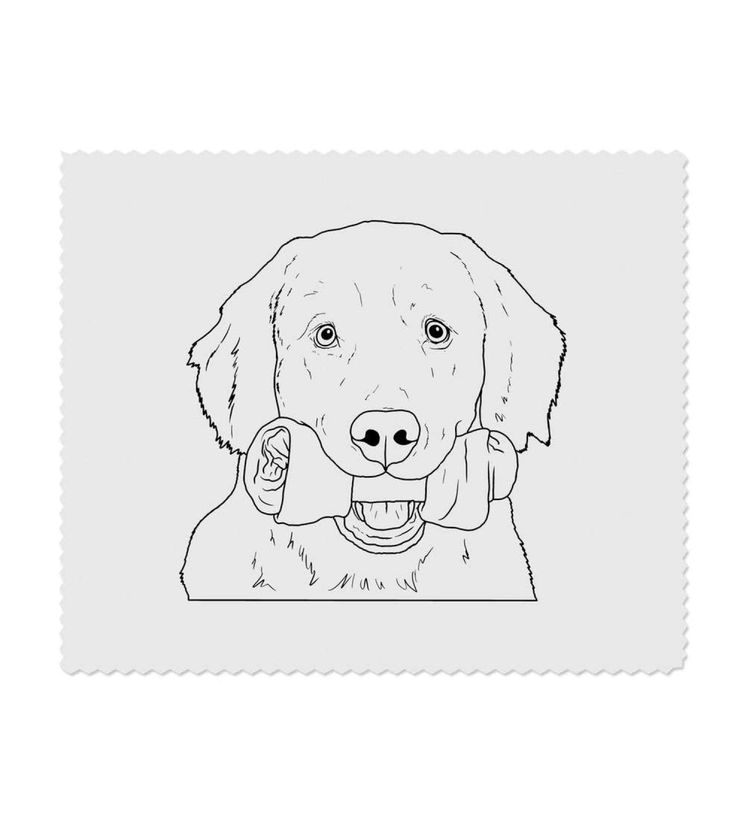 Azeeda Dog with Bone Microfiber Glasses Cleaning Cloths - 2 Pack | International Shipping Available - Buy Online on GoSupps.com