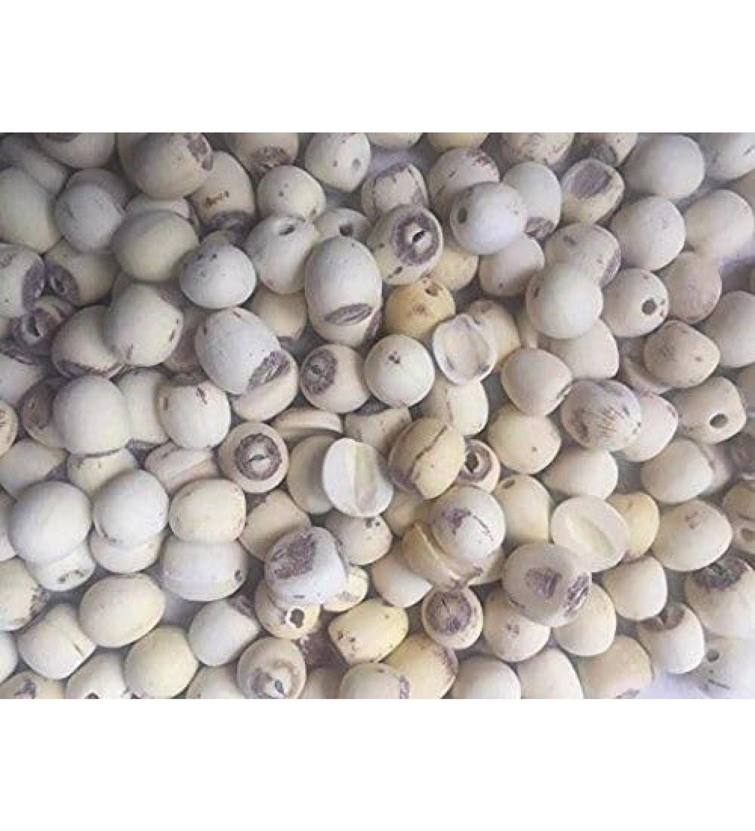 4 Pound (1816 grams) High grade lotus seeds from China. - Buy Online on GoSupps.com