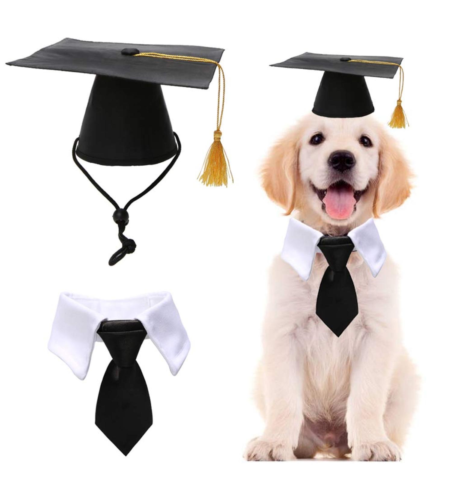 Pet Graduation Caps with Bow Tie Necktie Collar Dog Graduation Hats Accessory Costume for Dogs Cats Hat+Necktie - Buy Online on GoSupps.com