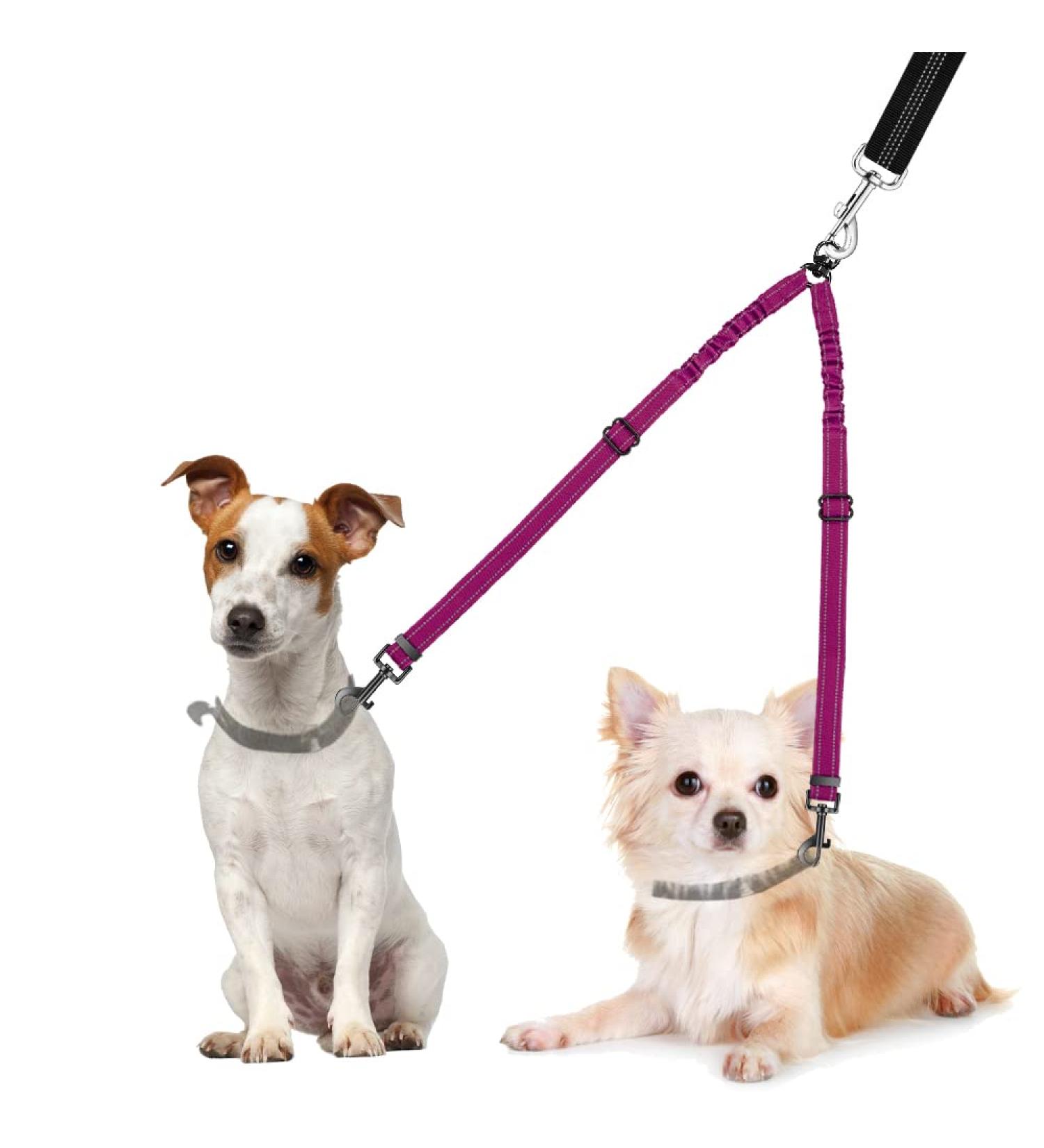 Nasjac Double Dog Leash - No Tangle 360 Rotatable Bungee Leash for Small to Large Dogs | Adjustable Shock-Damping & Reflective Design - Buy Online on GoSupps.com