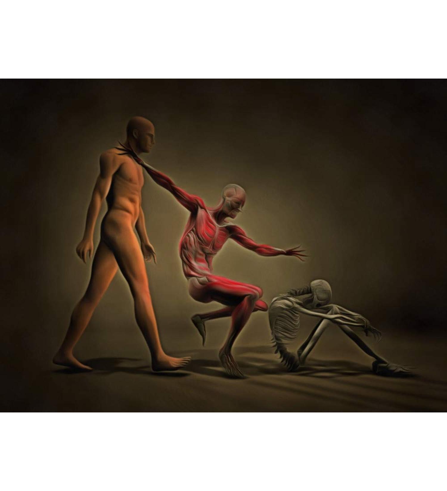 Posterazzi PSTRFF700056HLARGE Three Stages of Human Body Photo Print 24 x 36 Multi