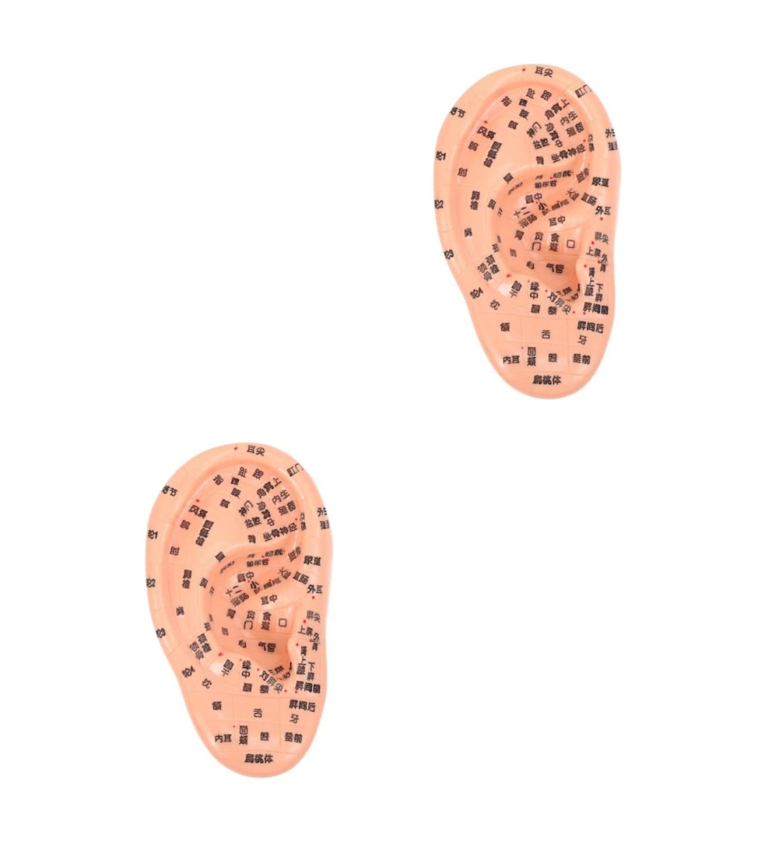 Healeved 2 STK Massage Ohr Model - Anatomical Ear Massage Tool | 3D PVC Earring Puppet Set for Optimal Relaxation | Buy Internationally! - Buy Online on GoSupps.com