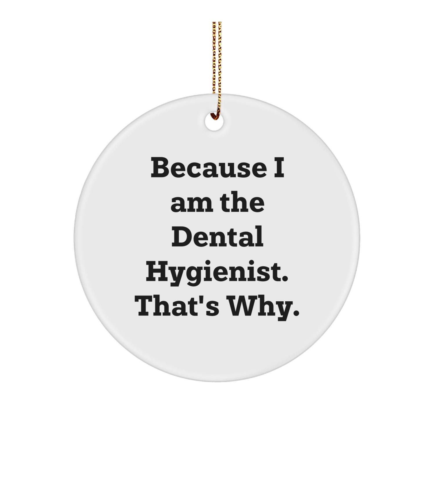 Dental Hygienist Gifts Because I Am The Dental Hygienist. That's Why. Funny Christmas Circle Ornament Gifts from Family to Dental Hygienist