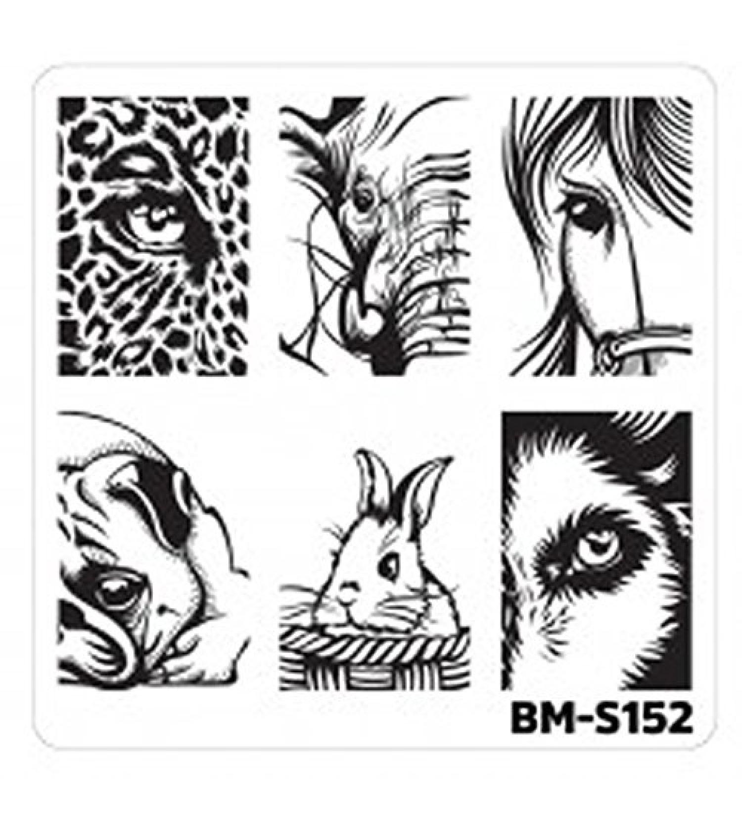 Stamping stencil plate BM S152 Bundlemonster animals eyes wild eyes nail art nail design