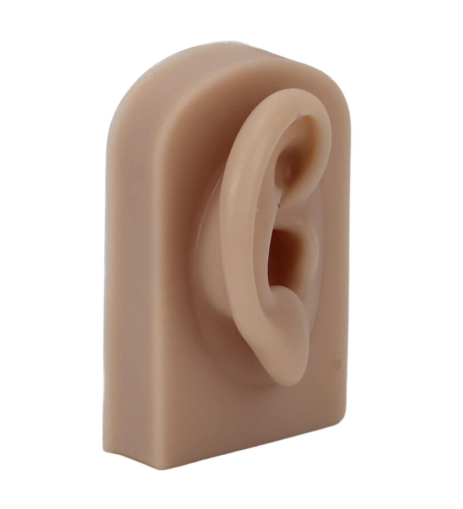 Simulated Right Ear Model for Ear Piercing Training | Realistic Soft Human Ear for Headphone Display (Brown) - International Shipping Available - Buy Online on GoSupps.com