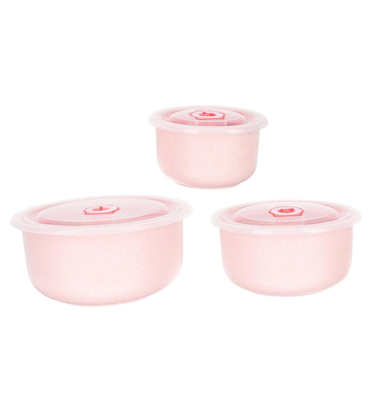 STOBAZA 1 Set Lunchbox Container Storage Boxes with Lids Household Food Case Mixing Bowl Refrigerator Work - Buy Online on GoSupps.com