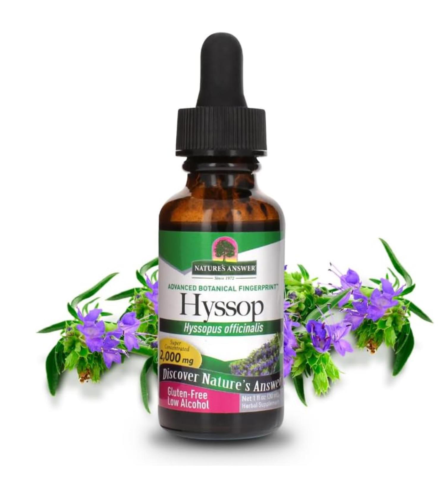 Natural's Answer Hysope sans glutten faible alcool 2000 mg 30 ml - Buy Online on GoSupps.com